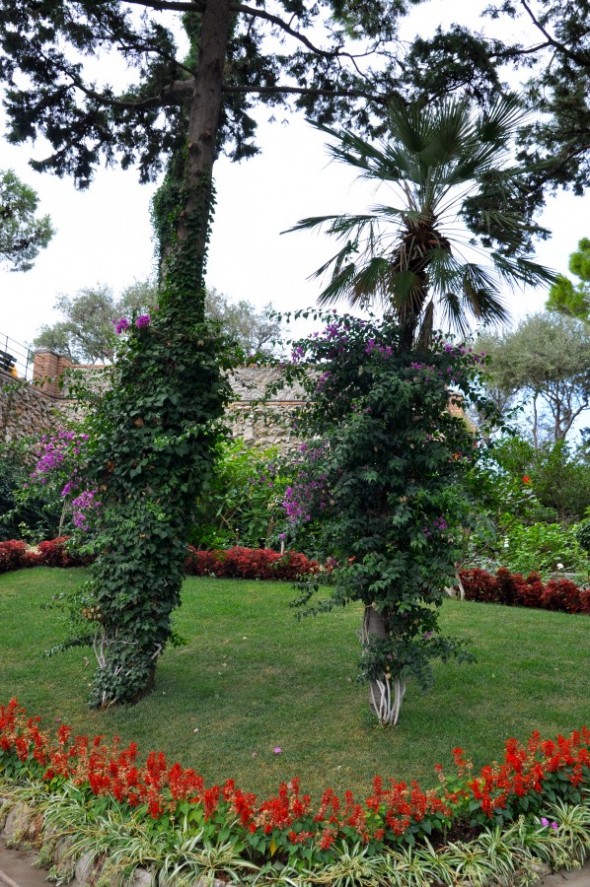 JARDINES DE AUGUSTO 