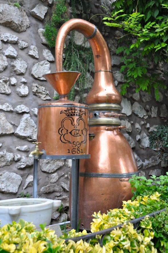 JARDINES DE AUGUSTO 