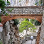 JARDINES DE AUGUSTO