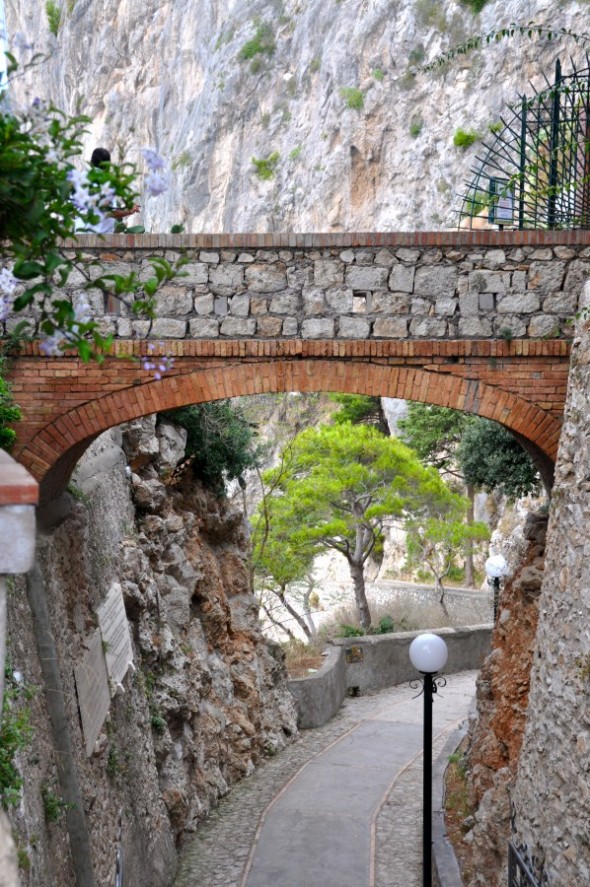 JARDINES DE AUGUSTO 