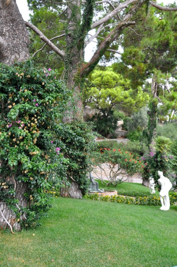 JARDINES DE AUGUSTO 