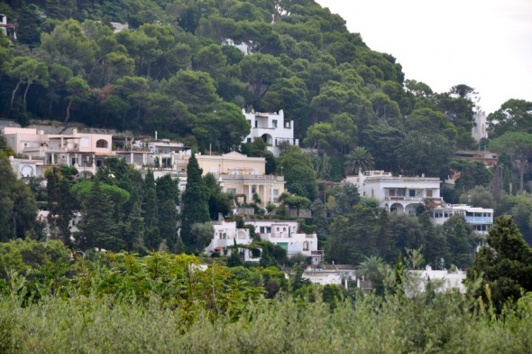 PANORAMICA 