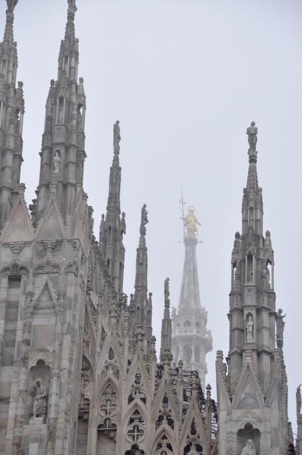 DSC_0246 (1)