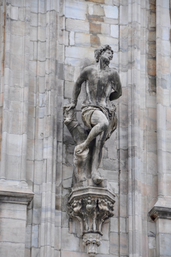 DSC_0251 (1)