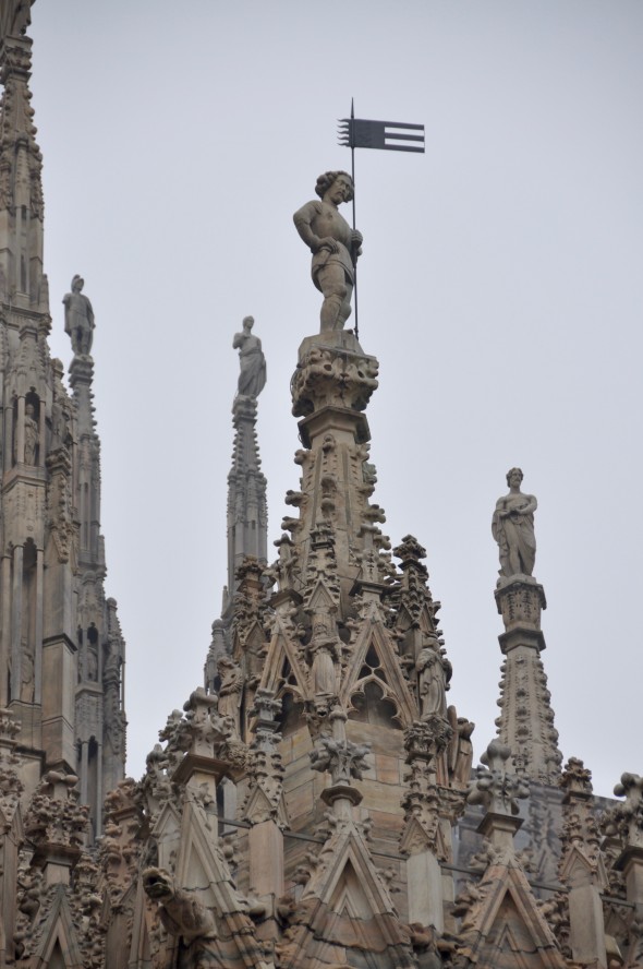 DSC_0277 (1)