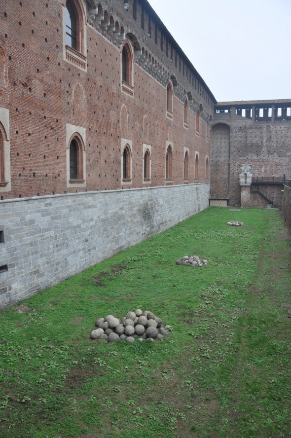 DSC_0313 (1)