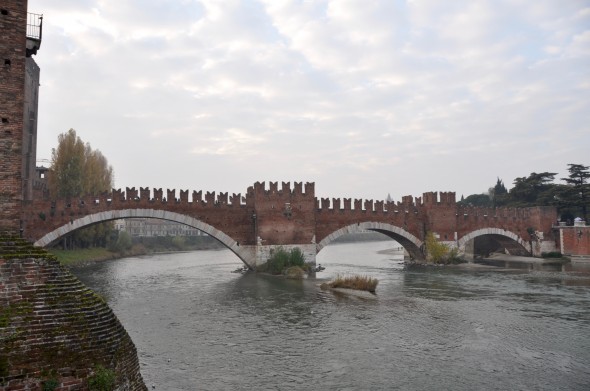 DSC_0835 (2)