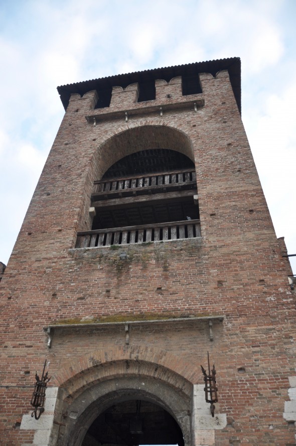 DSC_0850 (2)