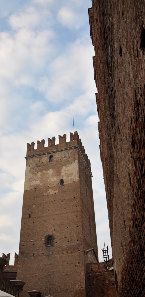 DSC_0859 (2)
