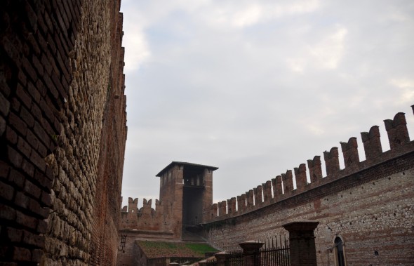 DSC_0863 (2)