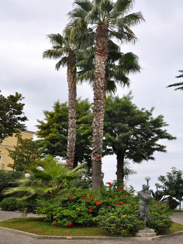 JARDINES PUBLICI