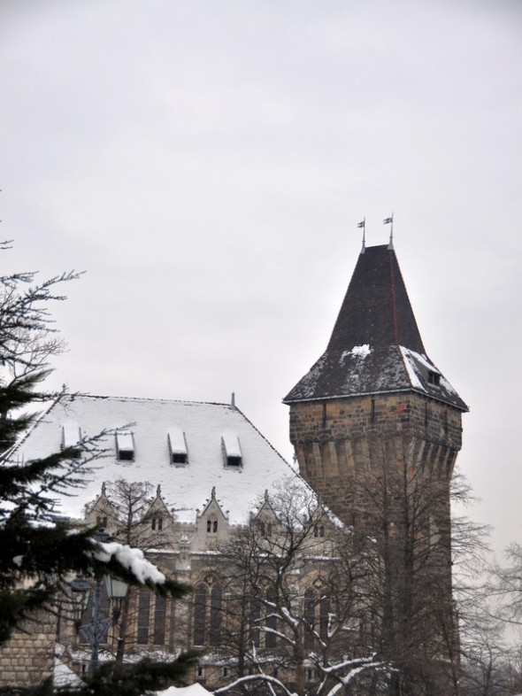CASTILLO VAJDAHUNYAD 