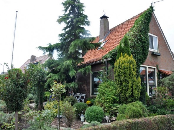 MARKEN 
