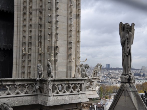 NOTRE DAME 