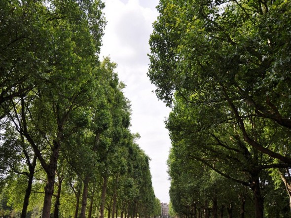 ST.JAMES PARK 