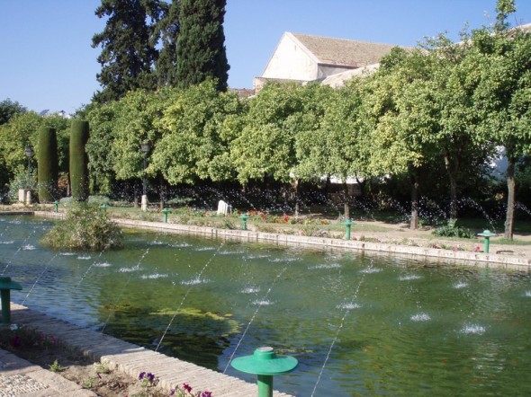 ALCAZAR 