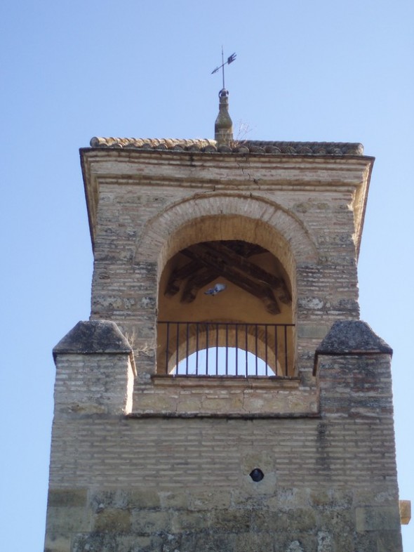 ALCAZAR 