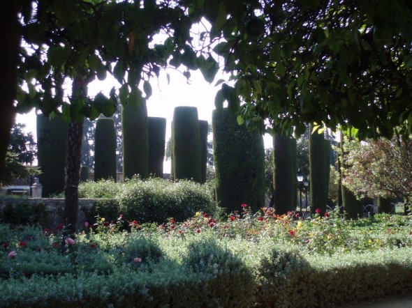 ALCAZAR 