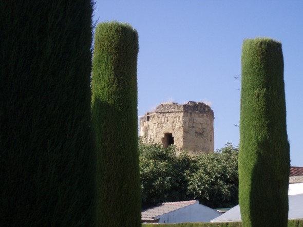 ALCAZAR 