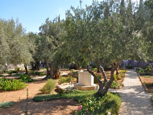 EL JARDIN DE GETSEMANI
