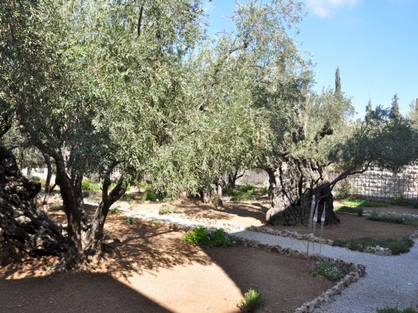 EL JARDIN DE GETSEMANI
