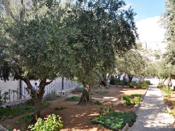 EL JARDIN DE GETSEMANI