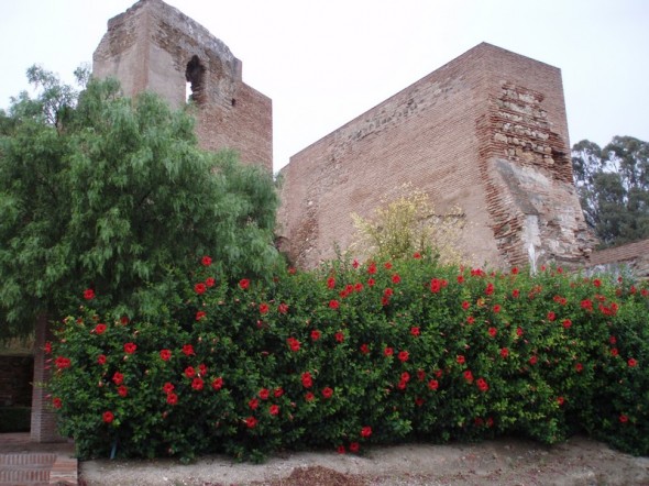 LA ALCAZABA 
