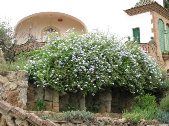 PARQUE GUELL