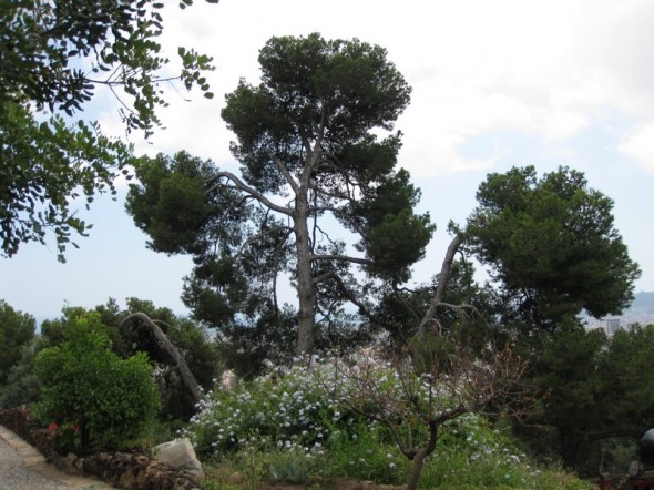 PARQUE GUELL