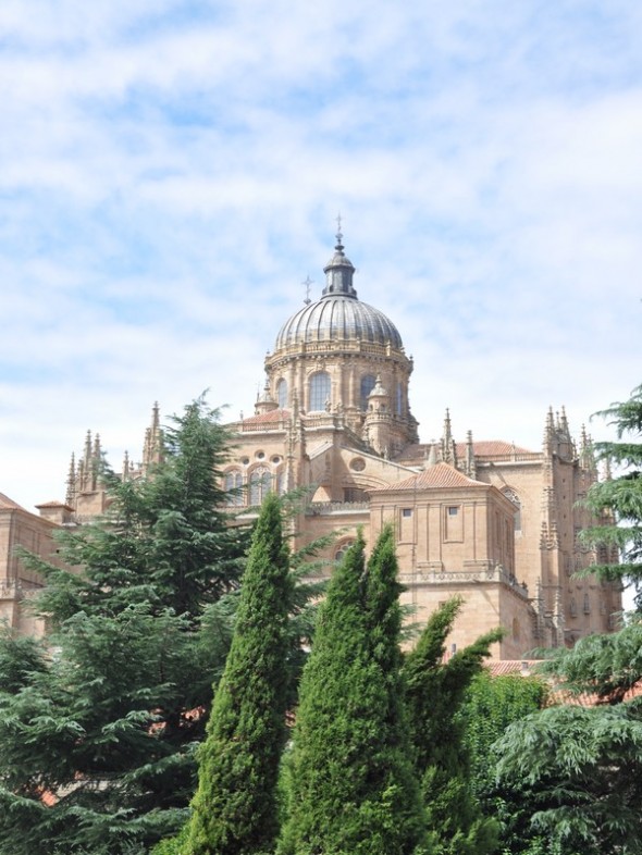CATEDRAL 