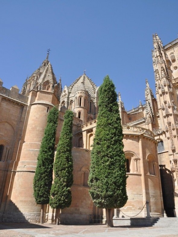 CATEDRAL 