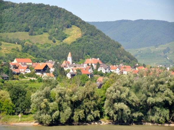 DSC_0094 (3)
