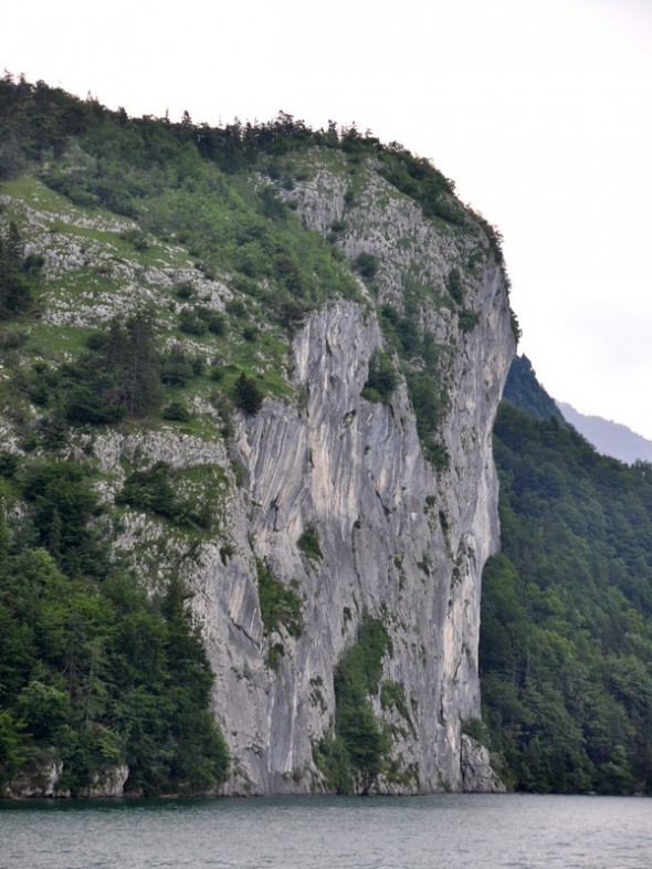 DSC_0313 (2)