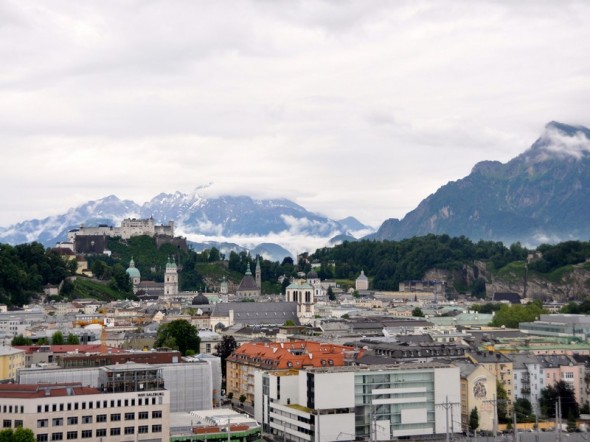 DSC_0318 (2)