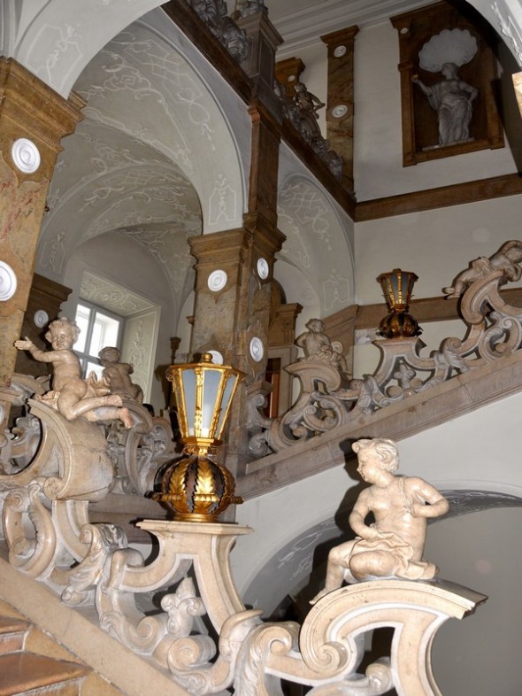 DSC_0331 (3)