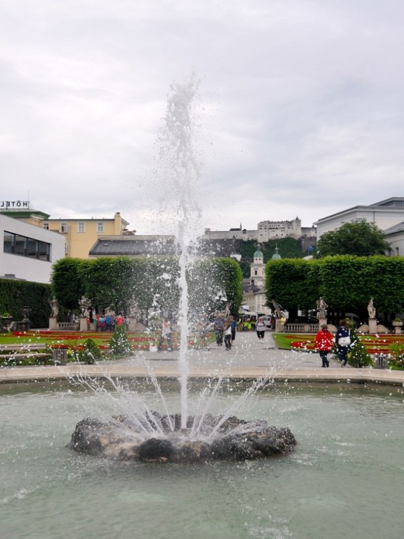 DSC_0352 (3)