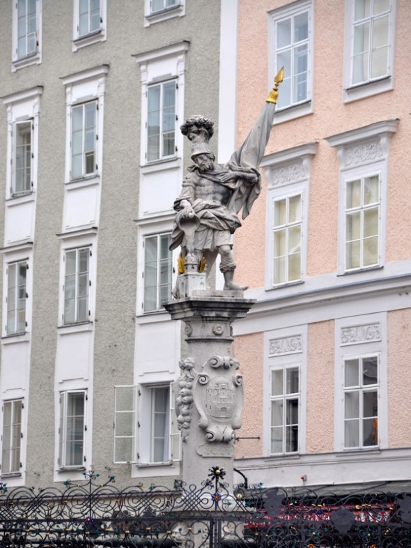 DSC_0379 (2)