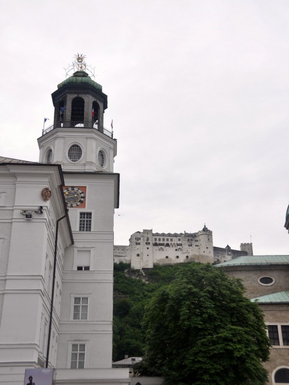 DSC_0397 (2)