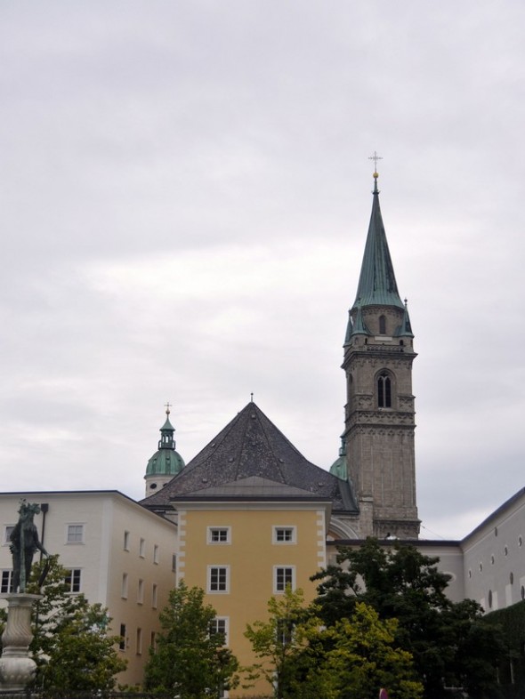DSC_0431 (2)