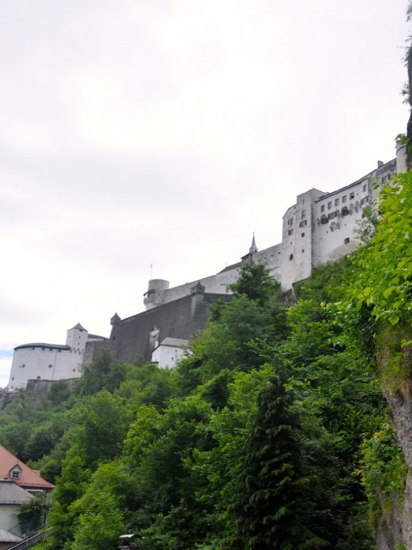 DSC_0505 (2)