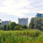 ONU-CITY