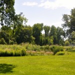 PARQUE DE DONAUPARK