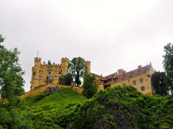 DSC_0765 (2)