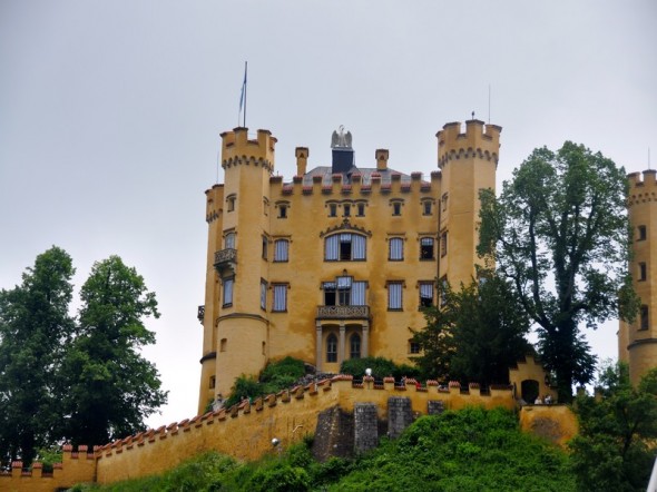DSC_0769 (2)