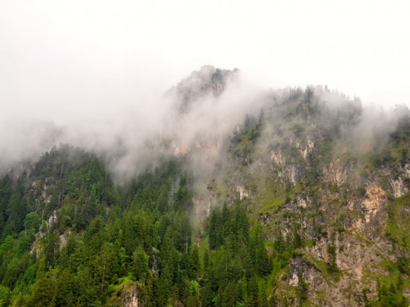 DSC_0819 (2)