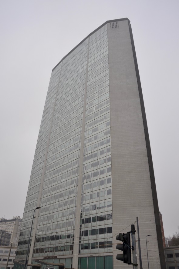 DSC_0242 (1)