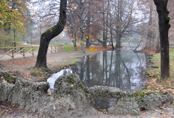 DSC_0345 (1)