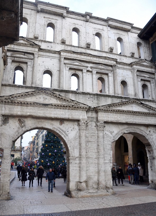 DSC_0804 (2)