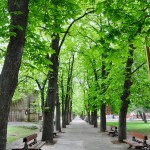 PARQUE HUERTA DE GUADIAN