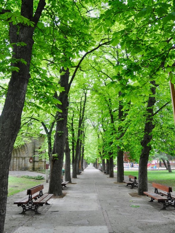 Image00001